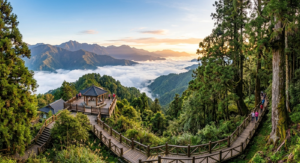 嘉義阿里山風景